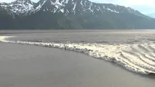 Surfing The Bore Tide Turnagain Arm 6 26 13