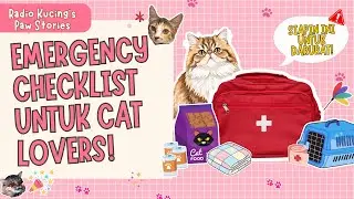 EMERGENCY CHECKLIST UNTUK CAT LOVERS! | Radio Kucing's Paw Stories #53