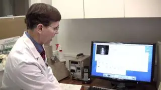 Performing a Thyroid Scan on a Hyperthyroid Cat