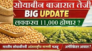 सोयाबीन बाजारात मोठी तेजी! मोठी अपडेट | सोयाबीन बाजार अपडेट | soybean rate today | सोयाबीन भाव आजचे