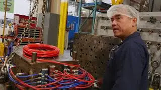 what a mold maintenance technician does