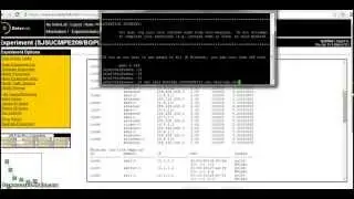 BGP Hijacking Deterlab experiment