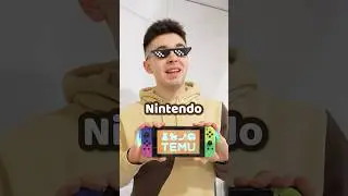 Temu Nintendo Switch Gone Wrong!