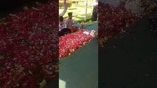 Pembacaan do'a almarhum lek Tukimo