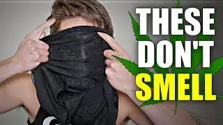 Hemp Underwear Are AMAZING!
