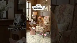 CAT MEMES 🐱The things grandma promised me #catmemes #relatable #relationship