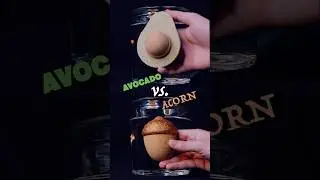 ASMR Bath Bomb Battles ⚔️