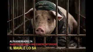 Il Maiale lo sa...