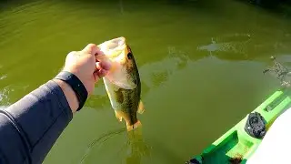 Put in at a ramp I rarely use to learn how to catch some BASS at Cedar Lake Illinois!  It paid off!!