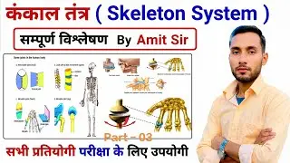 मानव कंकाल तंत्र | Human Skeleton By Khan sir pdf | Manav kankal tantra in hindi | science gk kgs