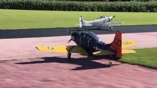 Skyraiders at Owatonna - 2016