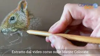 Matite colorate - Come fare uno scoiattolo e scegliere il supporto giusto