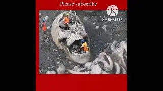 World&rsquo;s biggest human skull discovered