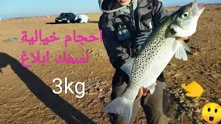 صيد اسماك ابلاغ بعلاوات اخفنير و كانت المفاجأة سمكة عملاقة