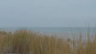 Healing Slowness of Nature - Walk in the dunes at Hel - Winter #10