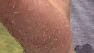 Cactus Karate Chop!
