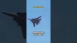 F-14 Сила складывающихся крыльев