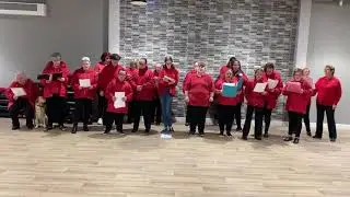 All Kinds of Everything covered by One Voice Choir Middlesbrough.