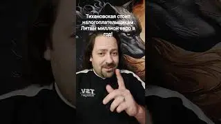 1 Миллион евро в год потребляет Тихановская из налогов Литвы, сколько потребляют все 