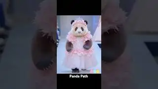 🐼✨ The Panda in a Fashion Show | #Panda #FashionShow #FunnyAnimals #cute