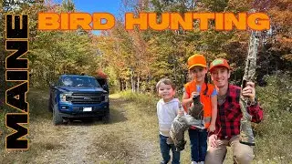 BIRD HUNTING with the Family Deep in the MAINE Woods!