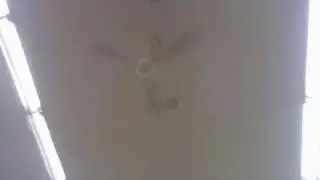 Canarm Industrial Ceiling Fans