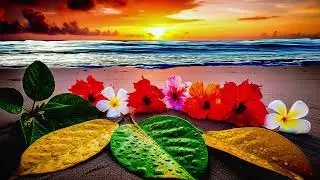 Golden Sunset by the Ocean | Relaxing Music with Wet Flowers & Peaceful Beach Nature