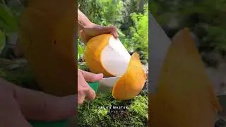 Super Sharp Knife vs Coconut: Perfect Clean Cut! #asmr #satisfying #shorts