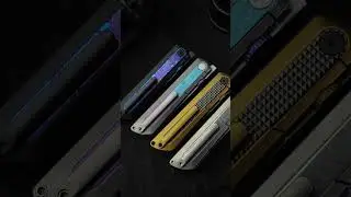 Quoll Series: Which One Do You Love Most?