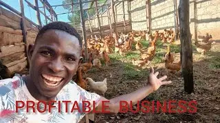 HOW MUCH  PROFIT CAN A  FIRST  TIME  FARM  MAKE 
