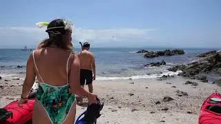 Full day sea kayak tour, Bahia Rica, Costa Rica