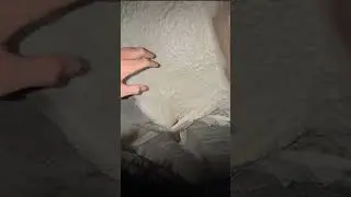 Crawl space insulation is not about comfort &mdash; it&rsquo;s about control.  Cold floors, excess humidity, mus