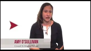 Part 1: Overall Trends in Bid Protest Litigation, with Amy O'Sullivan of Crowell & Moring