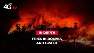 IN DEPTH | Fires in Bolivia and Brazil: what is the situation in South America?