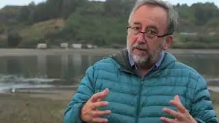 Sobrexplotaci&oacute;n de algas pardas