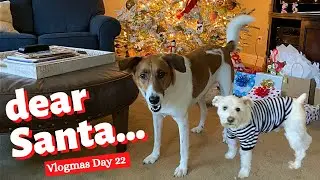 What My Dogs Want for Christmas | VLOGMAS 2021