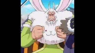 One Piece - Rabbitman Gifter of the Beasts Pirates