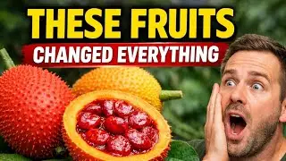 8 Forgotten Wild Fruits That Could Change the Way We Eat Forever