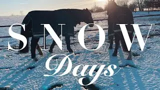S N O W has 𝒶𝓇𝓇𝒾𝓋ℯ𝒹 on the yard 