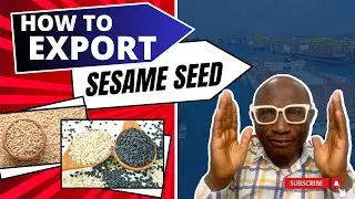 How To Export Sesame seed From Nigeria