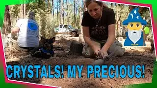 A Great Crystal Hunt With Bill & Bruno The Wonder Dog