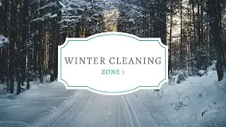 December 2020 Clean with Me - Zone 1