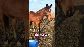 I think bourbon and I are both done with warming! Ha ha ha