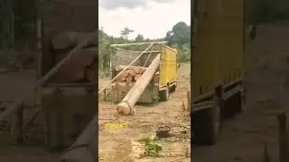 How to loading wood log on truck tricks mind blowing ideas 💡