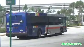 Miami Dade Transit  Bus Observations of Miami, Florida  (January 2024) Part 5/5.