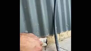 Failed Termite Barriers in a Tweed Heads Property