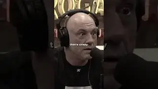 Joe Rogan Reveals Usyk&rsquo;s SECRET Contract!