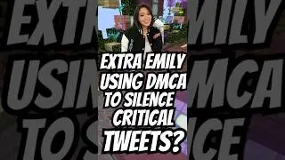 ExtraEmily DMCA's A Twitter User...