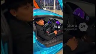 Exotic cars collection