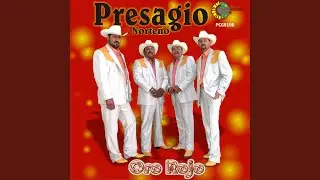 Me Toco Perder
